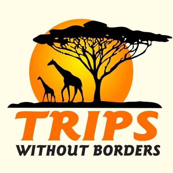 trips.it dominio in vendita
